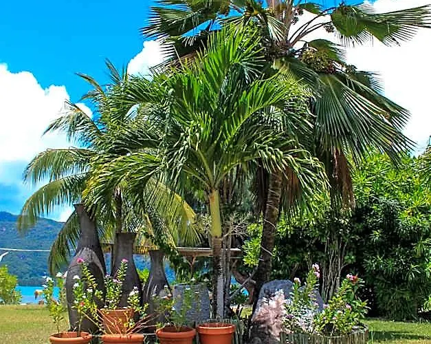 Hotel L'habitation Cerf Island